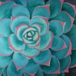 Succulent Paint Night at Crush and Grind